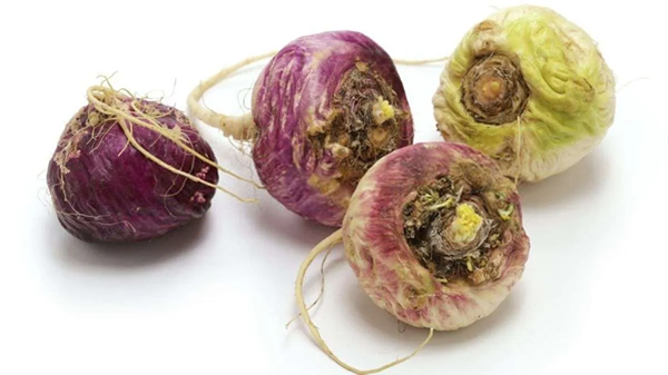 Maca Extract Powder: Benefits, Uses, and Dosage Guide